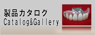 Catalog & Gallery